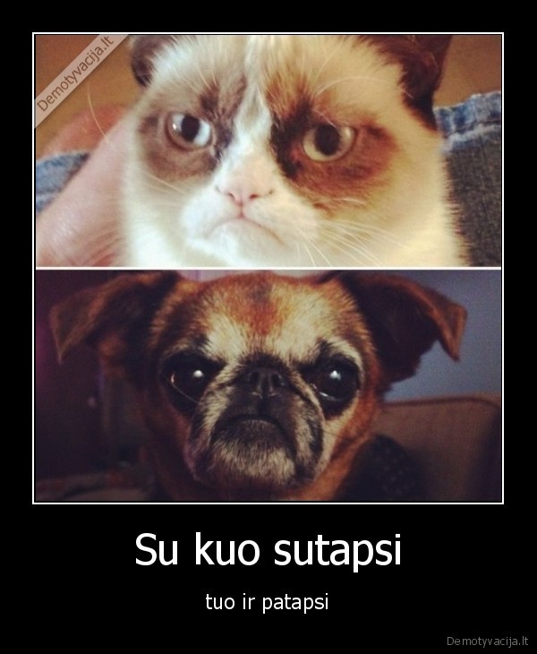 Su kuo sutapsi