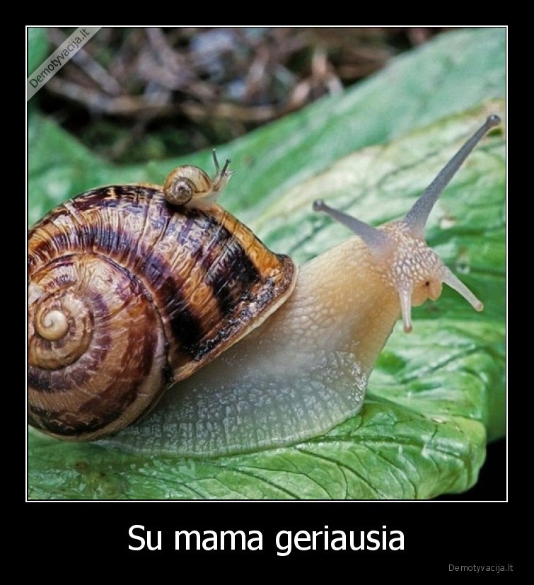 sraiges,mama,vaikas