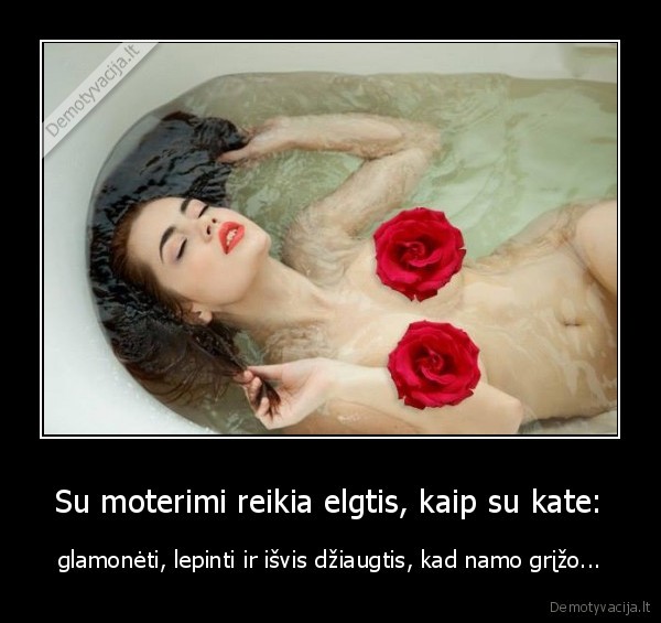 moteris, kaip, kate,moteris, kate,lepinami, moteris