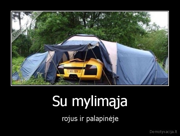 palapine,lamborgini