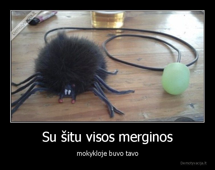 mokykla,voras