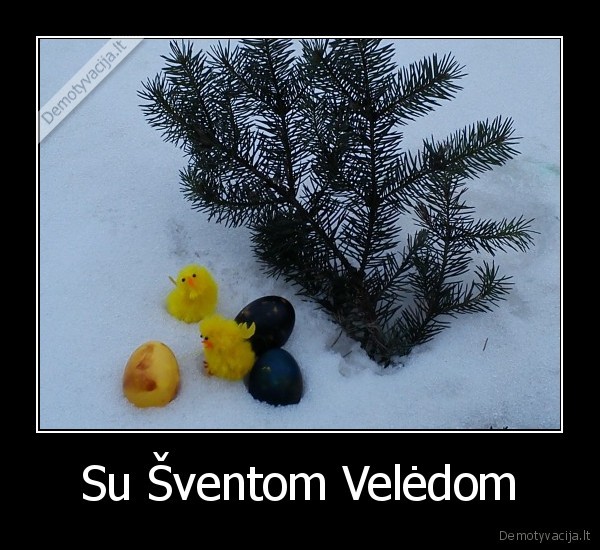 Su Šventom Velėdom
