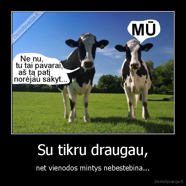 Su tikru draugau,
