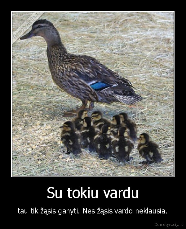 zasis,vardas,zasis