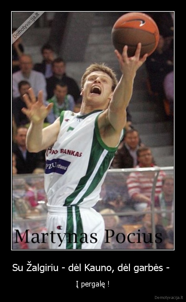 pocius,pergales,kaunas,zalgiris,jega