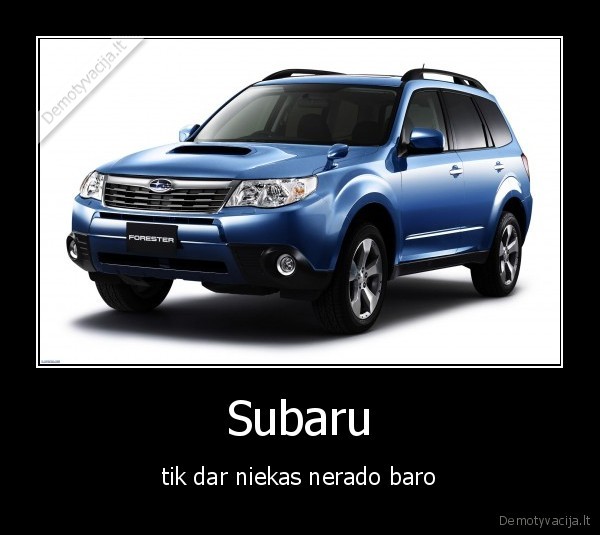 viltis,mirsta,paskutine