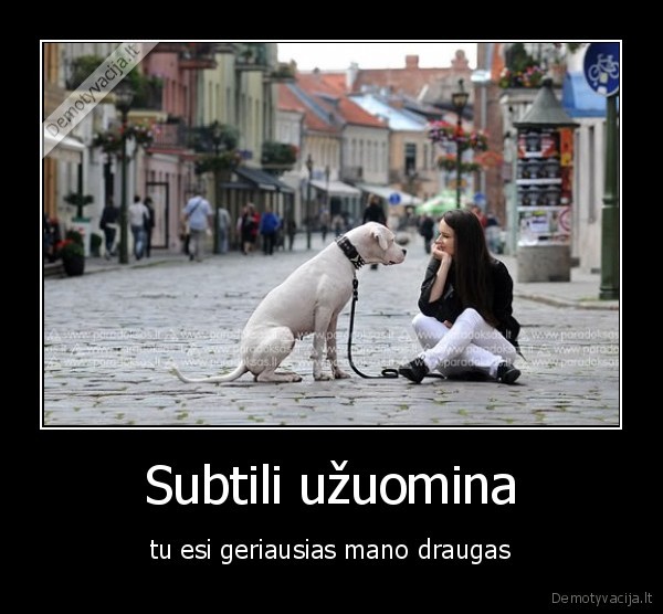Subtili užuomina