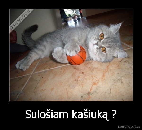 Sulošiam kašiuką ?