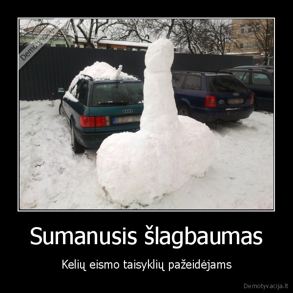 sniegas,ziema,birka,batonas