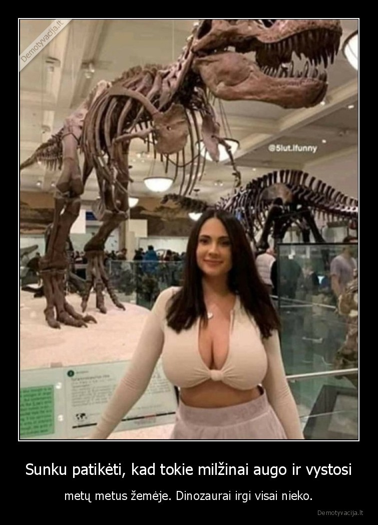 papai,dinozaurai,kaulai,muziejus