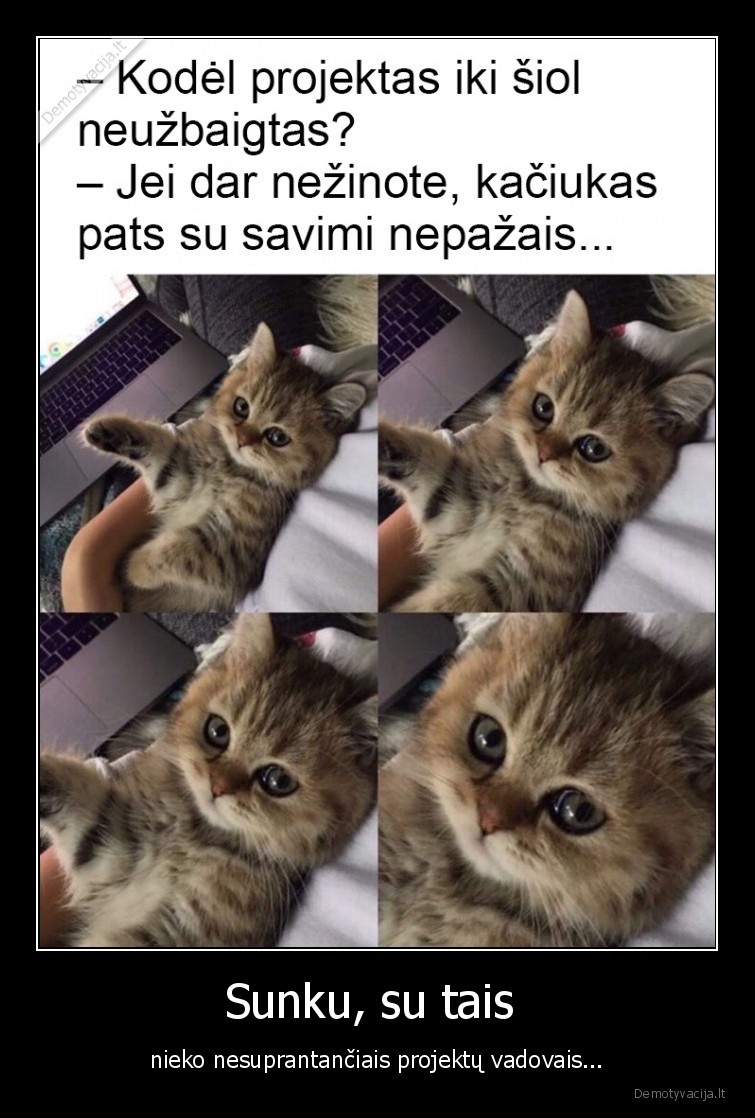 kaciukas,projektas,projekto, vadovas