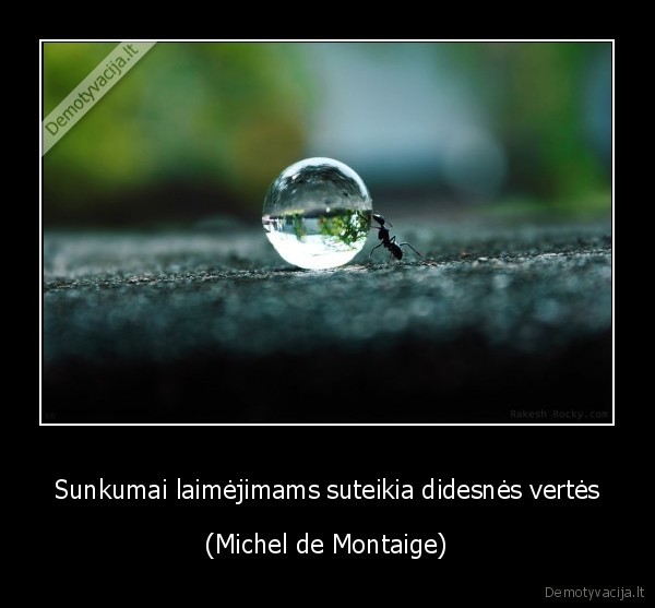 tikslas