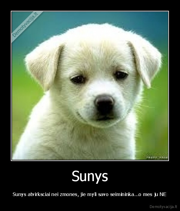 Sunys