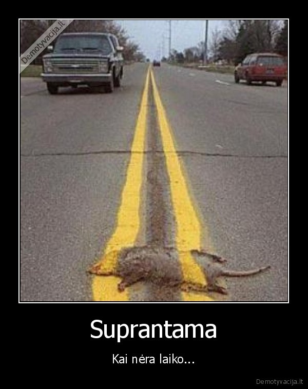 suprantama,jukinga