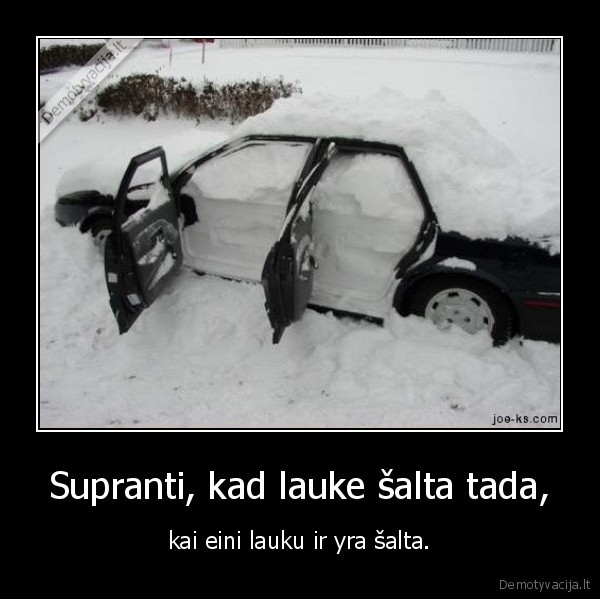 ziema,saltis,laukas,sniegas., mergina