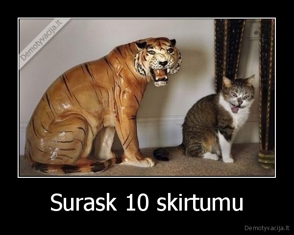 Surask 10 skirtumu