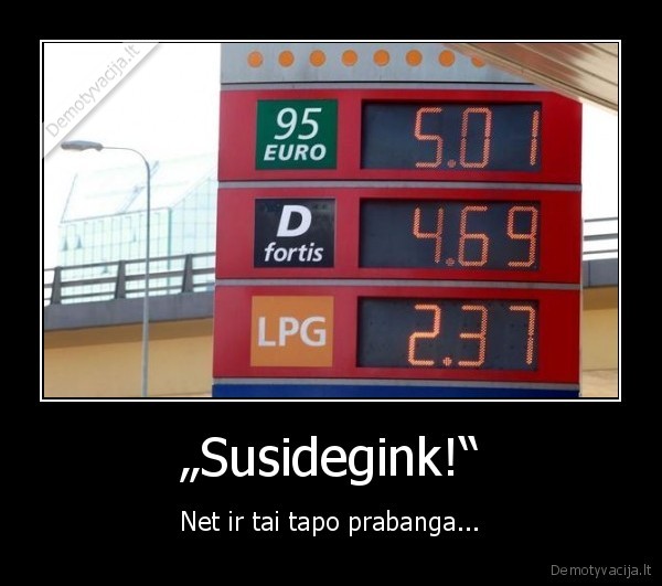 lysk, i, zidini