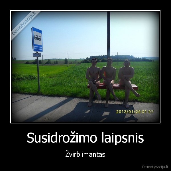 telsiu, lohai, rackom, i, siena, kas, paskutinis, kubiliaus, kiausinis, is, desines
