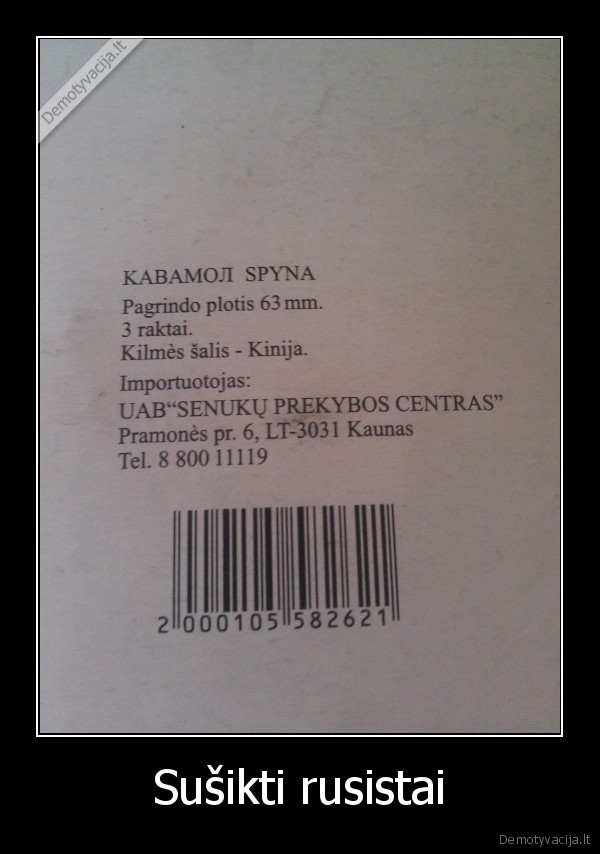 Sušikti rusistai