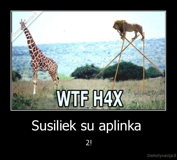 lol, seriousd
