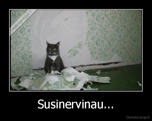 Susinervinau...