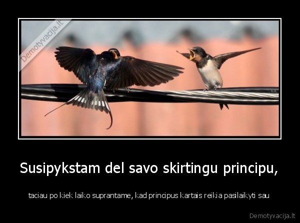 Susipykstam del savo skirtingu principu,