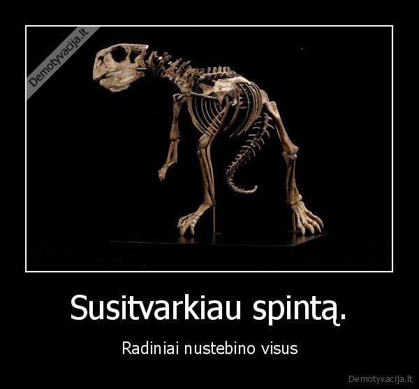 Susitvarkiau spintą.