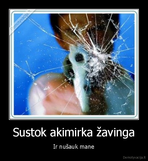 shoot