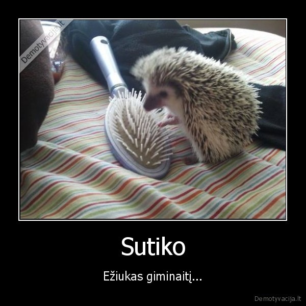 Sutiko