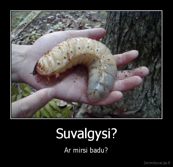 alkis, privercia, daryti, zmones, ziaurius, dalykus