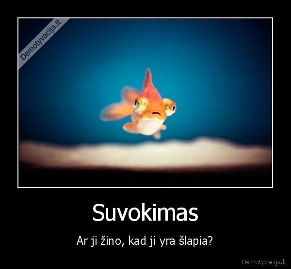 Suvokimas