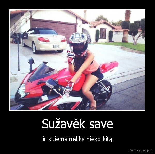 zavesys, gera, aura