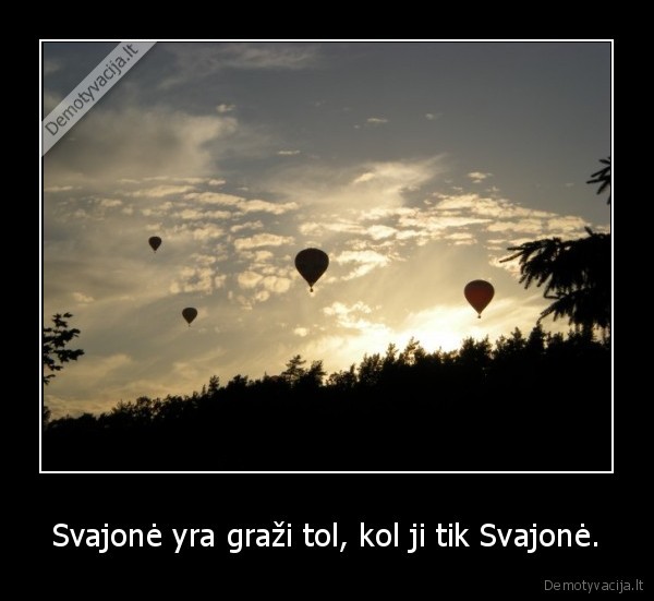 Svajonė yra graži tol, kol ji tik Svajonė.