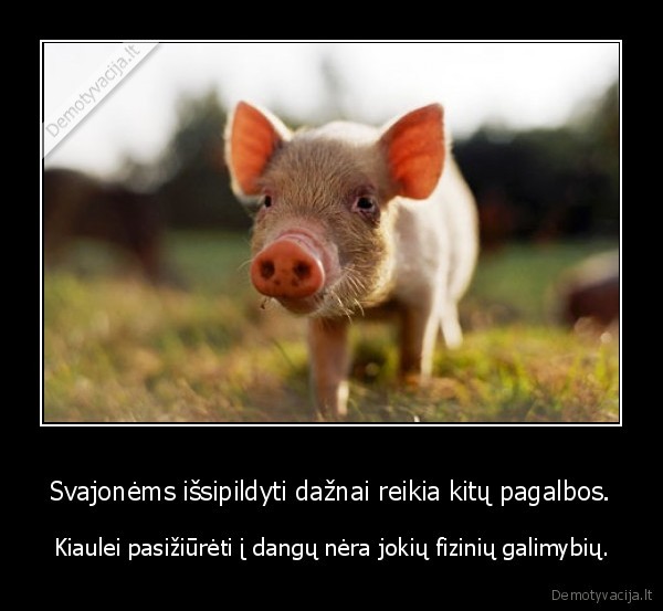 Svajonėms išsipildyti dažnai reikia kitų pagalbos.