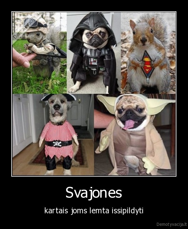 Svajones