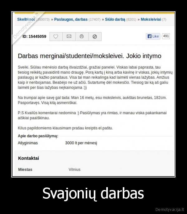 skelbimas,darbo, skelbimas,iesko, merginos,lazybos