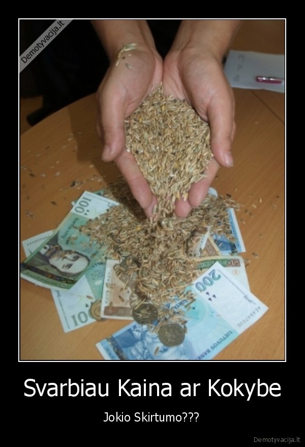 Svarbiau Kaina ar Kokybe