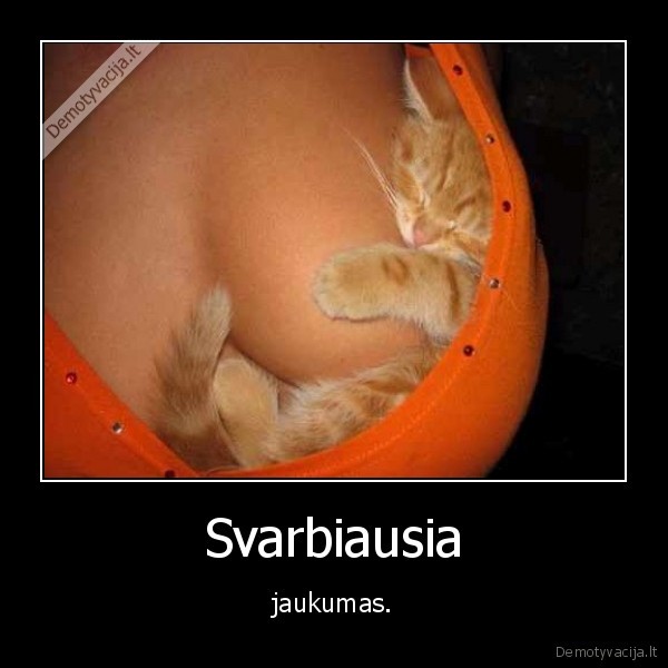 Svarbiausia