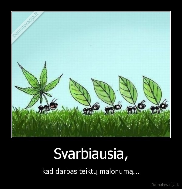 Svarbiausia,