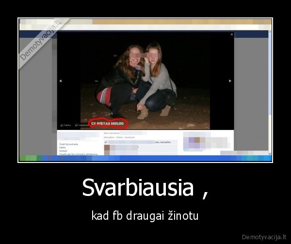 kvailos, panos, reiskias, kur, nereikia