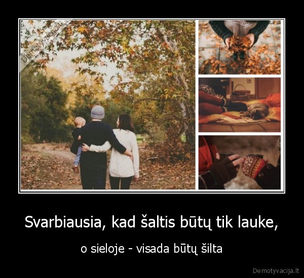saltis,lauke