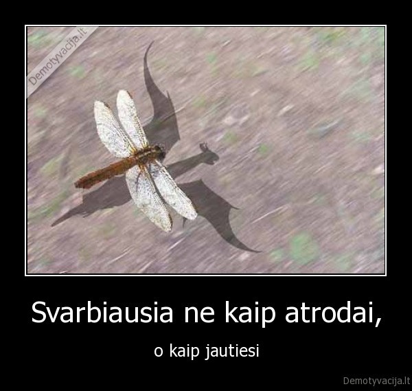 Svarbiausia ne kaip atrodai,