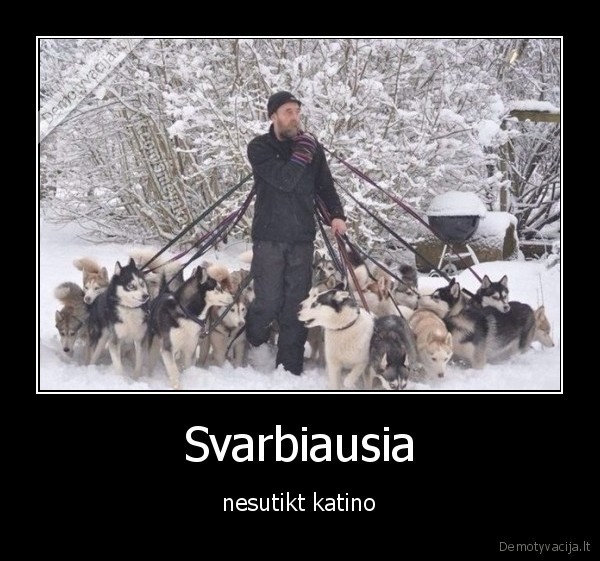 Svarbiausia