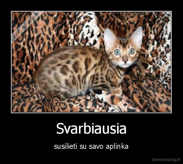 Svarbiausia
