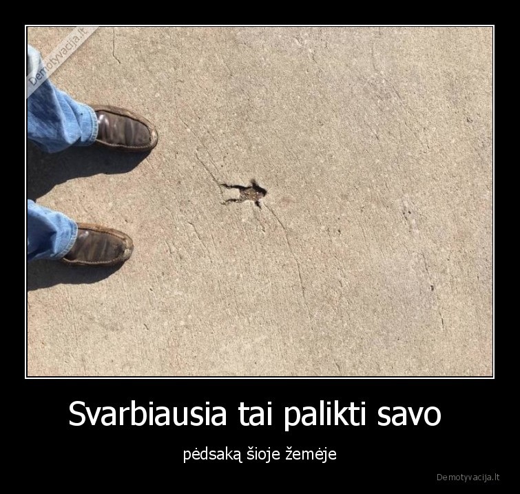 pedsakas,varle,zeme