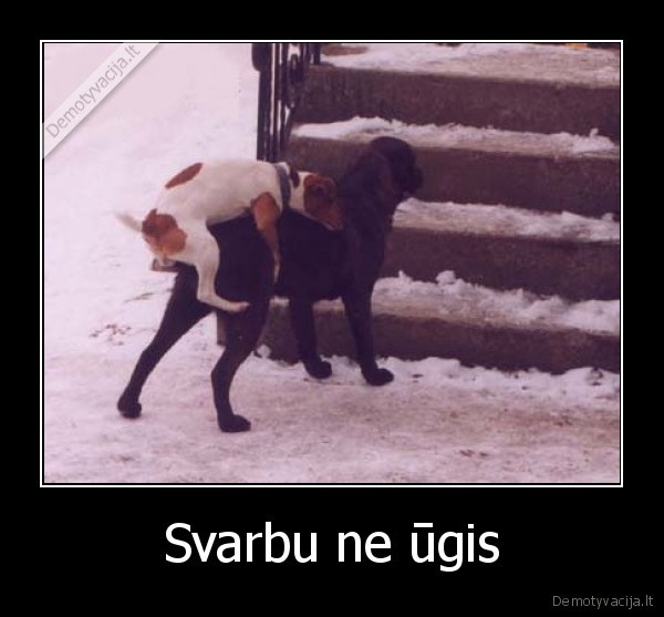 Svarbu ne ūgis