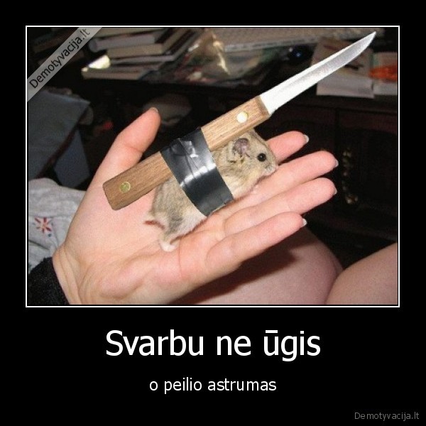 Svarbu ne ūgis