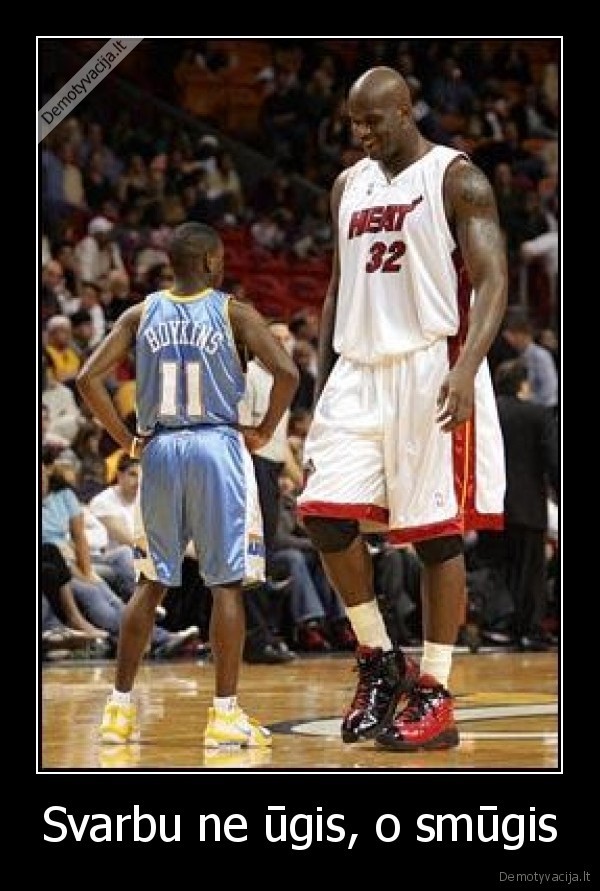 shaqas, krepsinis, nba, boykins, ugis