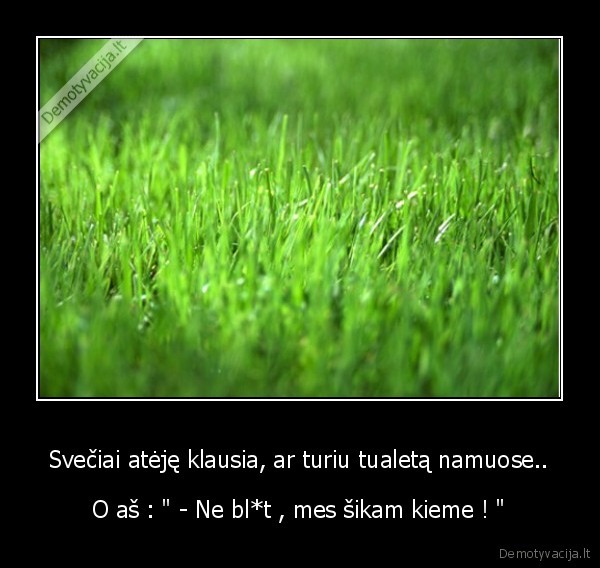 durni,klausimai