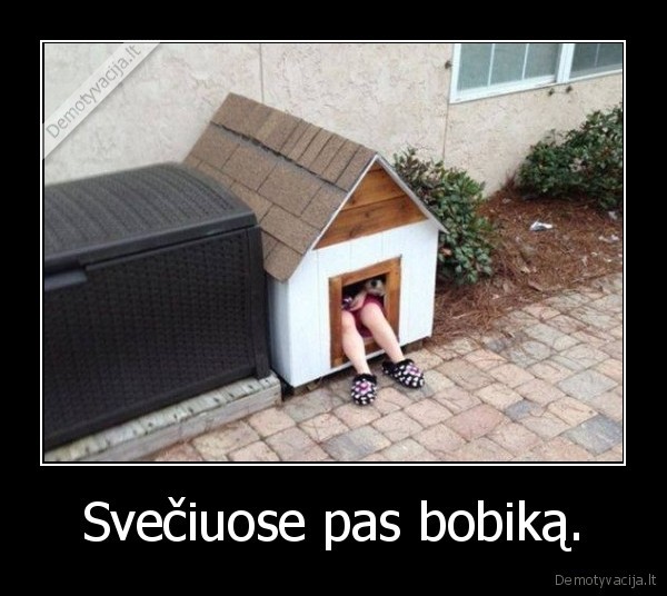 svecias,suo,buda